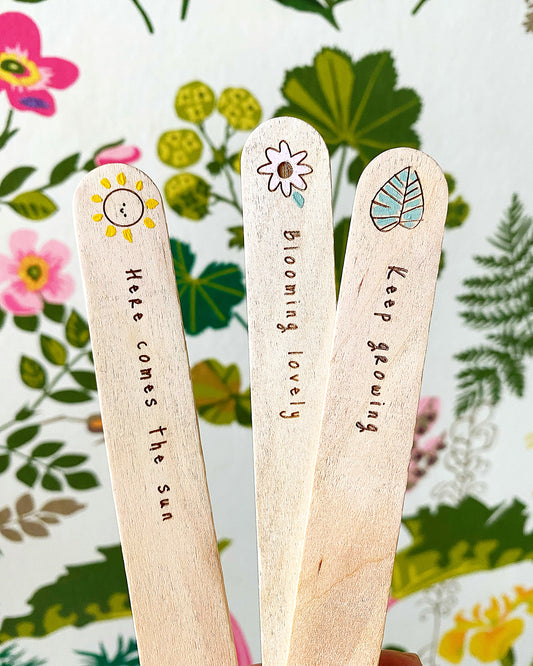 Hand-painted wooden plant markers